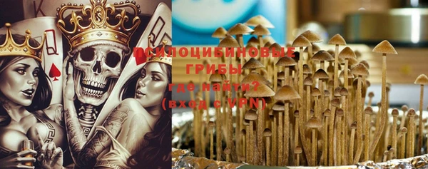 амф Нязепетровск
