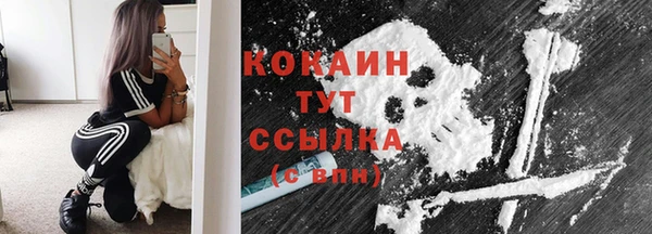 мдпв Няндома