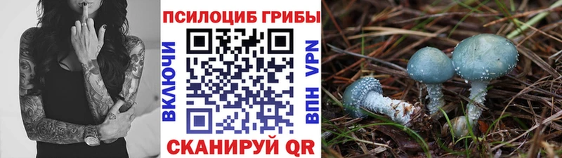 Псилоцибиновые грибы Psilocybine cubensis  shop клад  Власиха 